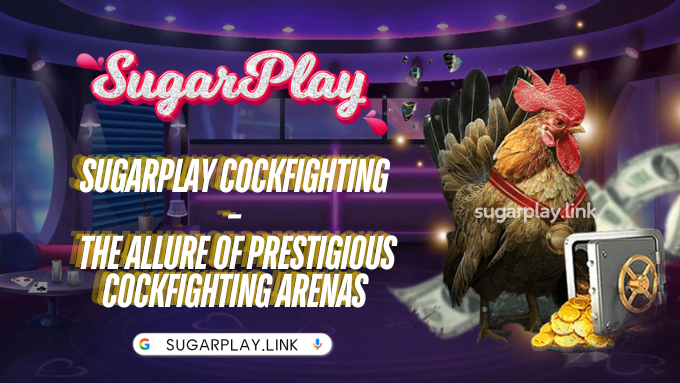 Sugarplay Cockfighting – The allure of prestigious cockfighting arenas