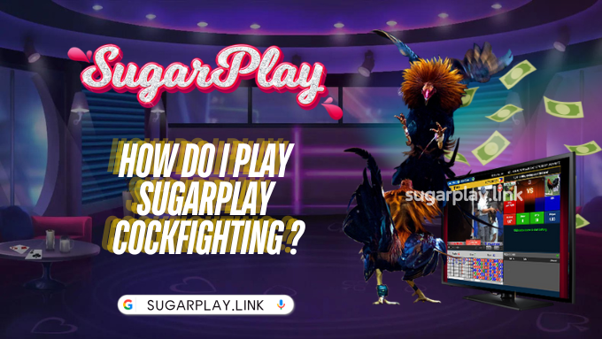 How do I play Sugarplay Cockfighting ?