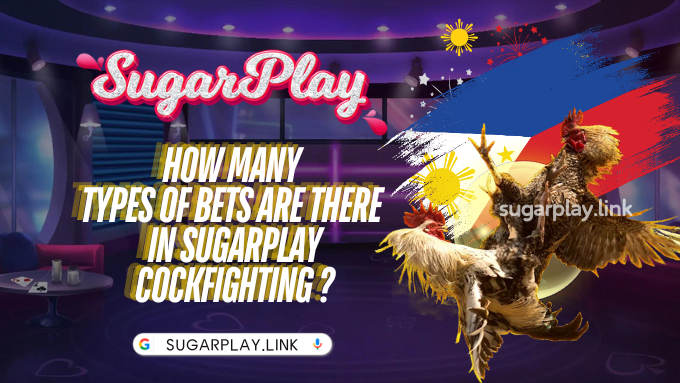 How many types of bets are there in Sugarplay Cockfighting ?