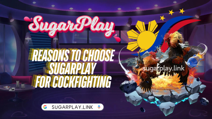 Reasons to choose Sugarplay for cockfighting