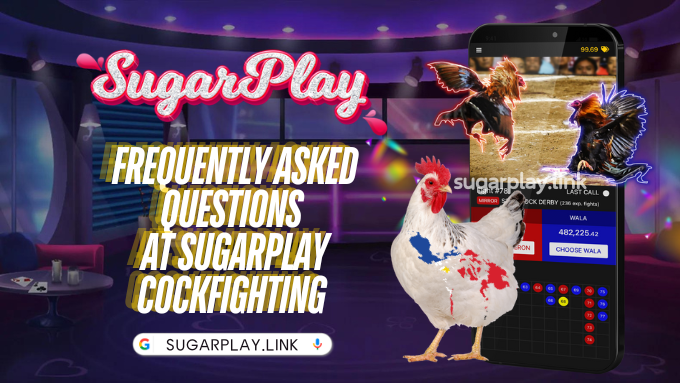 Frequently Asked Questions at Sugarplay Cockfighting 